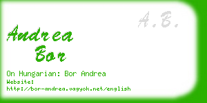 andrea bor business card